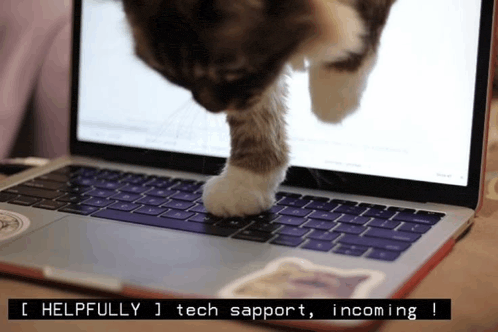 a cat 's paw is on the keyboard of a laptop with the words helpfully tech support incoming