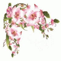 a purple butterfly is sitting on a branch of pink flowers .