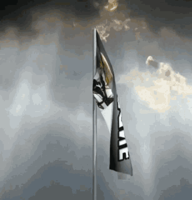 a black and white flag with the letter e on it is waving in the wind