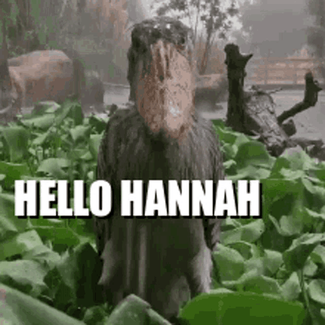 Hello Hannah GIF - Hello Hannah GIFs
