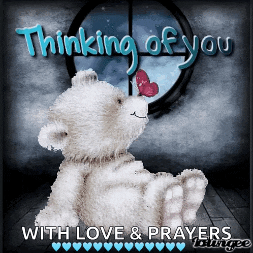 a teddy bear with a butterfly on its nose is sitting in front of a window and says thinking of you