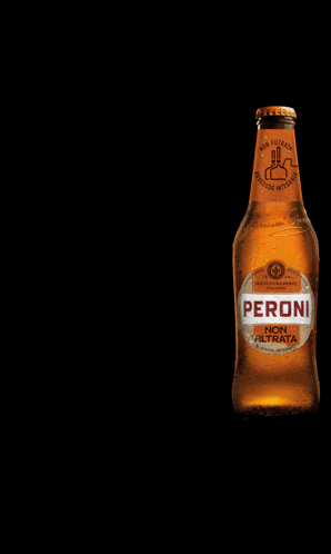 a bottle of beer has a label that says roma