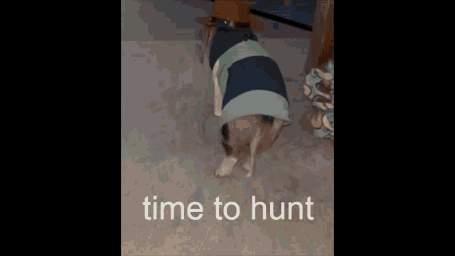 a dog wearing a sweater and a hat says time to hunt on the floor