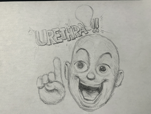 Urethra GIF - Urethra GIFs