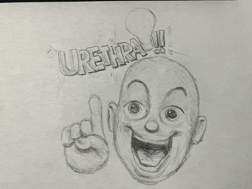 a drawing of a bald man with the word urethra written above him