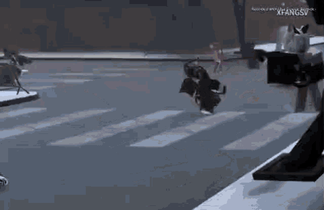 a person is walking across a crosswalk while a dog is standing on the side of the road .