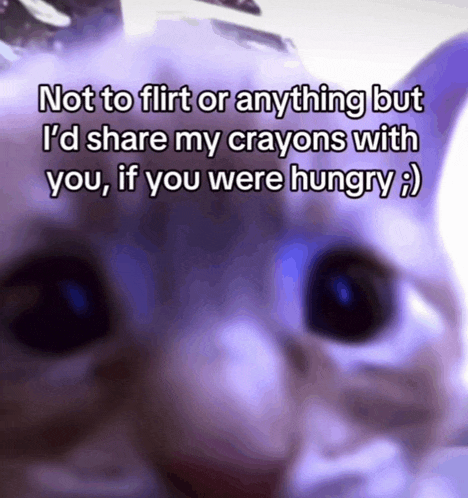 a cat with a caption that says not to flirt or anything but i d share my crayons with you if you were hungry :)