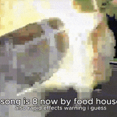 a pixelated image of a cat with the caption song is 8 now by food house also rapid effects warning i guess