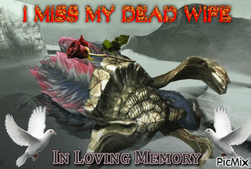 a picture that says i miss my dead wife