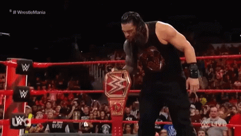 Roman Reigns Brock Lesnar GIF - Roman Reigns Brock Lesnar Universal Championship GIFs