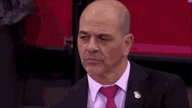a bald man with a beard wearing a suit and tie with a pin on his lapel