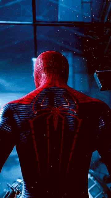 a close up of a spider man 's back with a spider logo on it