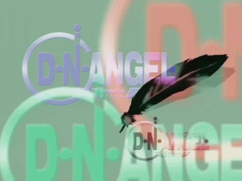 Dnangel Feather GIF - Dnangel Feather Cm GIFs