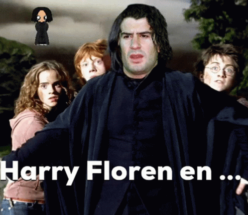Harry Floren GIF - Harry Floren Sebebe GIFs