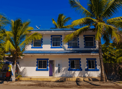 a white house with blue trim and palm trees in front