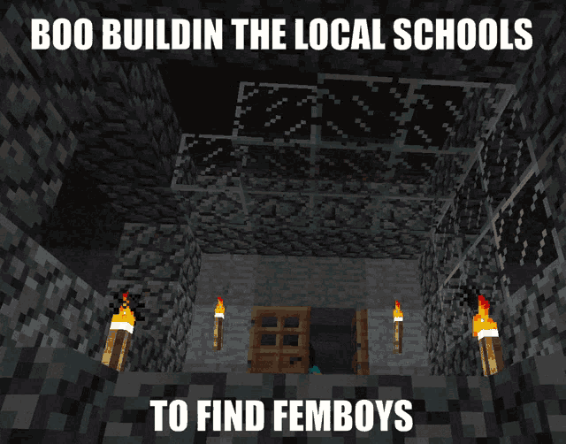 boo buildin the local schools to find femboys is written on a minecraft image