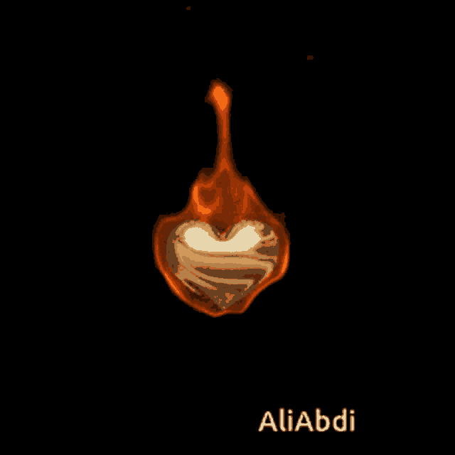 a heart that is on fire with the name aliabdi on the bottom