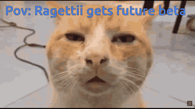 Ragettii Gets Future Beta GIF - Ragettii Gets Future Beta GIFs