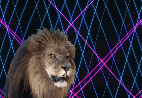 Lion Explode GIF - Lion Explode Jump GIFs