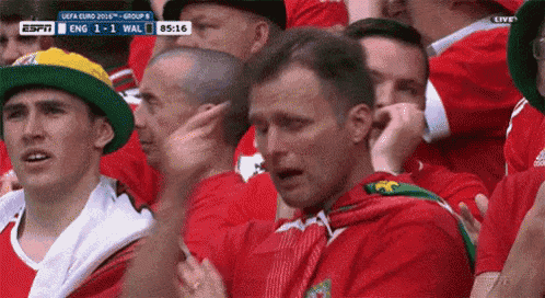 Wales Fan GIF - Wales Fan Crying GIFs