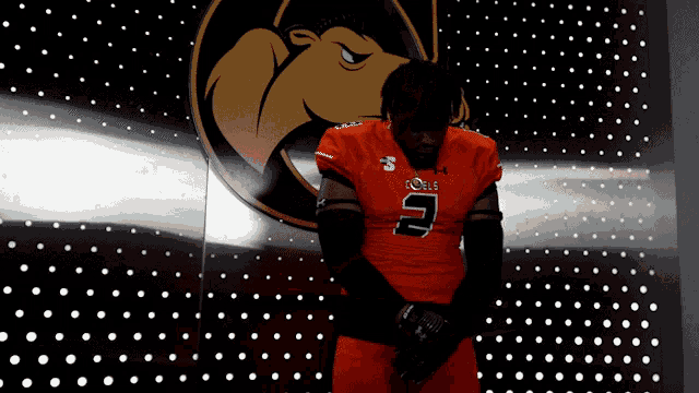 a football player wearing a jersey with the number 5 on it