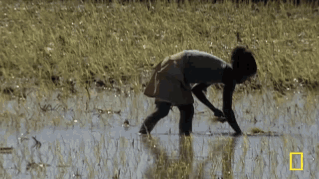 a person is kneeling in a muddy field with a national geographic logo in the background