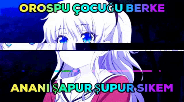 a picture of a girl with the words " orospu cocugu berke " written on it