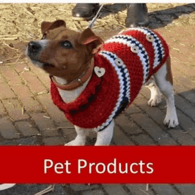 a dog is wearing a red and white sweater on a leash .