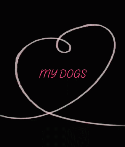 My Dogs Heart GIF - My Dogs Heart GIFs