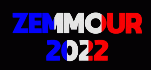 Zemmour 2022 GIF - Zemmour 2022 Président GIFs