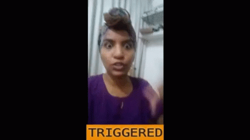 Triggeredfeminist S Ri Lankan Feminist GIF - Triggeredfeminist S Ri Lankan Feminist Feminist GIFs