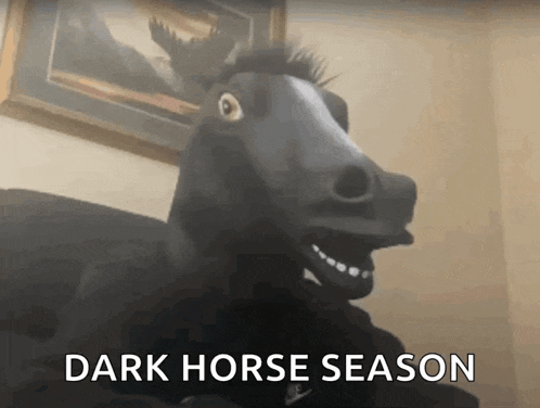 a person wearing a horse mask with the words dark horse season written below it