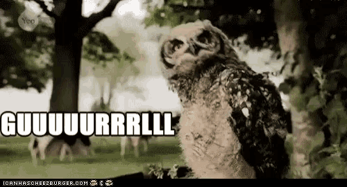 an owl is sitting under a tree with the words guuuuurrlll written on the screen
