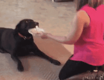 a woman is feeding a black dog a piece of cake