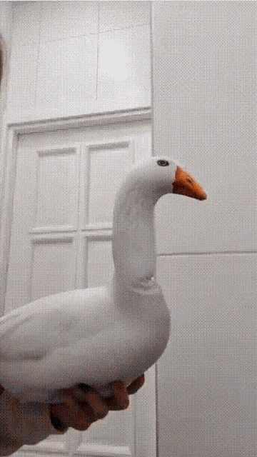 Goose Look At You GIF - Goose Look At You Suspicious GIFs