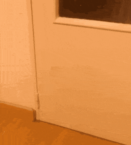 a cat peeking out from behind a wall