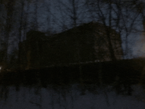 a dark forest with trees and a building in the background