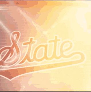a man stands in front of a wall that says state
