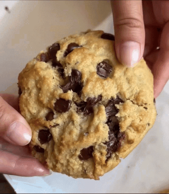 Chocolate Chip Cookie Chewy GIF - Chocolate Chip Cookie Chewy Baked Goods GIFs
