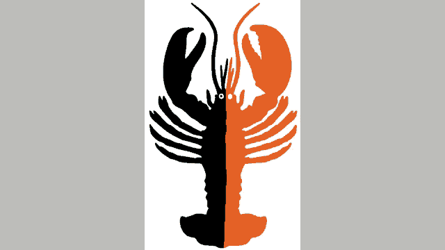 a black and orange lobster with a gray background