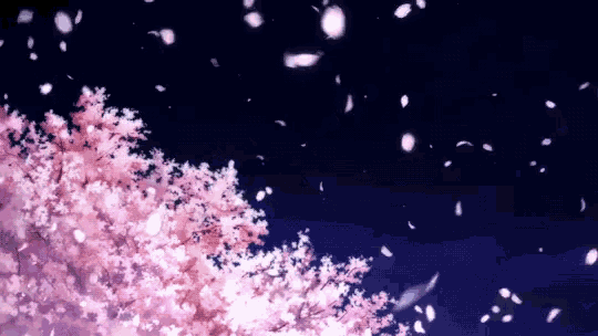 cherry blossoms are falling from a cherry blossom tree at night