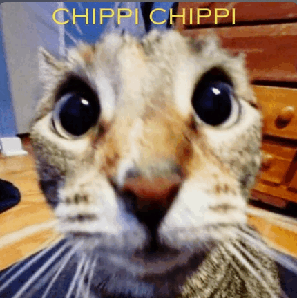 Chipi Chipi GIF - Chipi Chipi GIFs