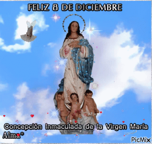 8de Diciembre Inmaculada Concepcion GIF - 8de Diciembre Inmaculada Concepcion Mary GIFs
