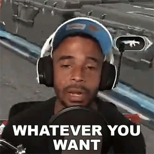 Whatever You Want Raynday Gaming GIF - Whatever You Want Raynday Gaming Evdog805 GIFs