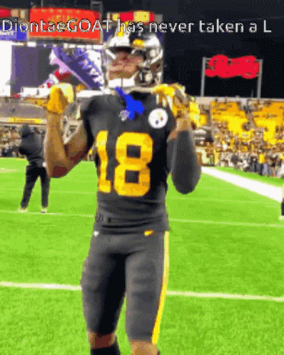 Steelers Pittsburgh GIF - Steelers Pittsburgh GIFs