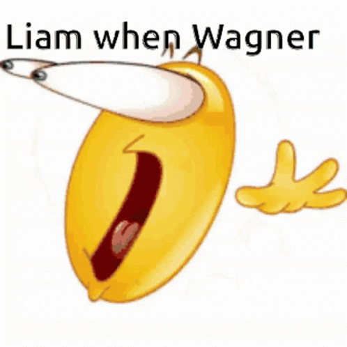 Liam When Wagner GIF - Liam When Wagner GIFs