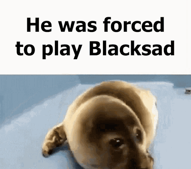Seal He Was Forced To GIF - Seal He Was Forced To Blacksad GIFs