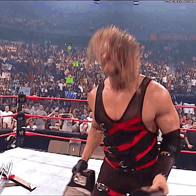 a wrestler in a black and red outfit is standing in a wrestling ring with a crowd behind him .