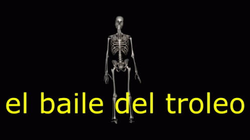 Baile Del Troleo Esqueleto GIF - Baile Del Troleo Esqueleto Nock Dog GIFs