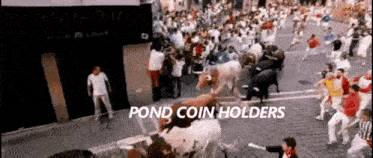 Pndc Pond Coin GIF - Pndc Pond Coin Pondx GIFs
